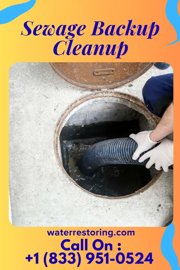 Sewage Backup Cleanup in Minden, NE
